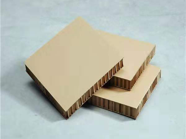 淀粉膠客戶案例